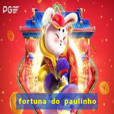 fortuna do paulinho do roupa nova