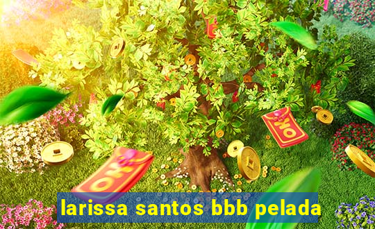 larissa santos bbb pelada