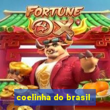 coelinha do brasil