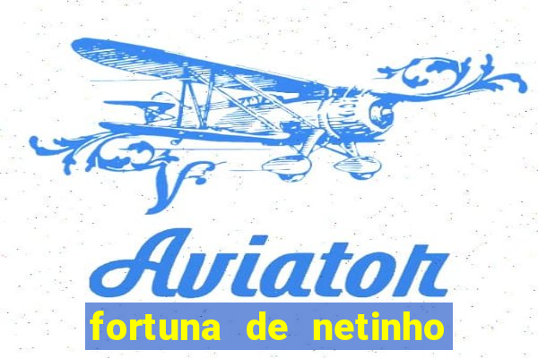 fortuna de netinho de paula