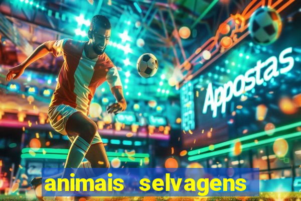 animais selvagens fotos e nomes