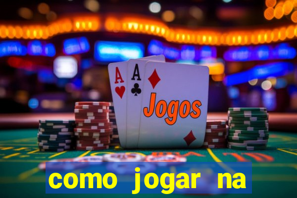 como jogar na lotinha do jogo do bicho