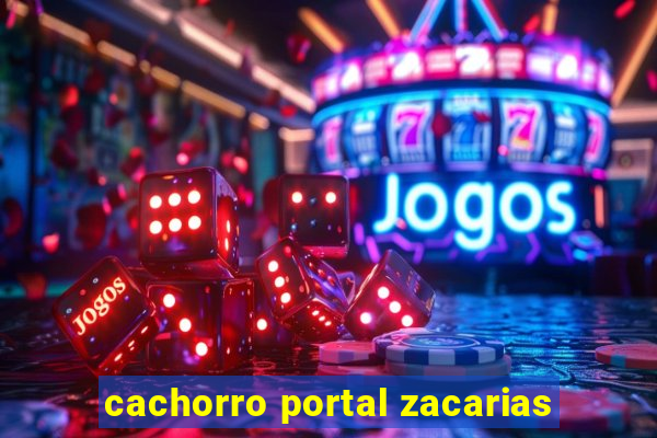 cachorro portal zacarias